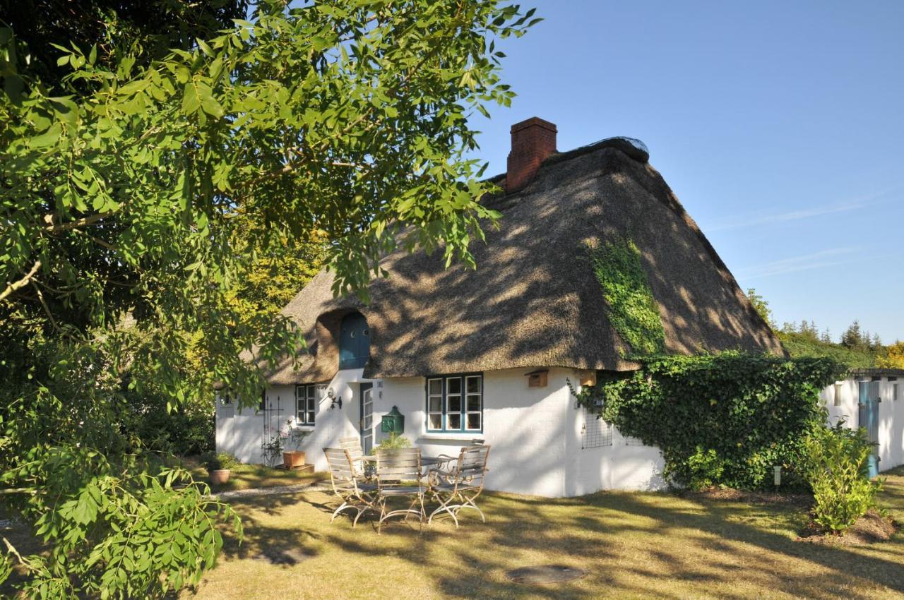 Das Kaetnerhaus Nordsee Langenhorn المظهر الخارجي الصورة